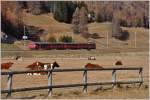 R1948 nach Scuol-Tarasp mit Ge 4/4 II 615  Klosters  zwischen Samedan und Bergün.