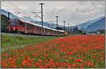 IR1148 aus St.Moritz mit führendem Steuerwagen Ait 57803 bei Felsberg.