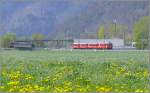 Bei der ehemaligem Haltestelle Trimmis teilen sich die Doppelspuren von RhB und SBB.