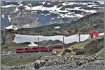 Bernina Express PE976 mit ABe 4/4 III 55  Diavolezza  und 56  Corviglia  am Ufer des Lago Bianco.