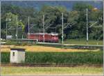 Ge 4/4 II 614  Schiers  mit IR nach Disentis nhert sich Zizers. Im Vordergrund die Geleise der SBB Strecke. (09.07.2008)