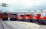 Loktypen-Aufstellung fr Teilnehmer der RHTIA TOURS Viertagesfahrt am 01.09.1996 beim Lokdepot Landquart, leider starke Bewlkung.