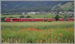 RE1044 aus Davos Platz zwischen Kornfeld und Rebbergen  bei Malans.