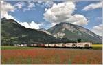 Ge 6/6 II 702  Curia  mit dem stattlichen Güterzug 5140 zwischen Bonaduz und Reichenau-Tamins mit dem Taminser Calanda im Hintergrund.