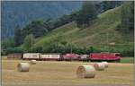 5152 mit der Ge 6/6 II 705  Pontresina/Puntraschigna  zwischen Bonaguz und Reichenau-Tamins. (26.07.2019)