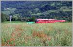 Regionalzug aus Rhzns unterwegs nach Schiers mitten in einem Mohnfeld bei Bonaduz.