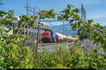SBB Cargo Am 843 062 mit dem Traktorgüterzug Horw - Luzern am 24. Juni 2019 beim Überqueren der Zentralbahngleise in Horw.