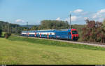 DPZ mit Re 450 065  Bonstetten  als S9 Schaffhausen - Uster am 25.