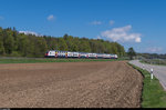 Ein RABe 514 ist am 19. April 2016 auf der S24 (Zug - Thayngen) zwischen Andelfingen und Marthalen unterwegs.
