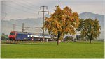 S25 20555 mit 450 043 in der March zwischen Schübelbach-Buttikon und Siebnen-Wangen. (24.10.2016)