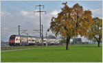 S2 18247 nach Ziegelbrücke mit 514 056-1 bei Siebnen-Wangen.