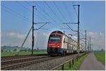 S2 18252 nach Zürich Flughafen mit 514 044-7 bei Siebnen-Wangen.