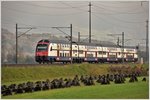 S2 nach Zürich Flughafen mit 514 055-3 bei den alten Panzersperren zwischen Reichenburg und Schübelbach-Buttikon.