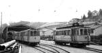 TN__Neuchâtel/Neuenburg__Tw 47, Bw 142 und weitere Bw der im selben Jahr vollends eingestellten Stadt-Linien, im Freien abgestellt.__30-08-1976