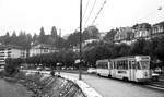 TN__Neuchâtel/Neuenburg__Gelenk-Tw [1962 ex Genua] auf Linie 5 am Littoral (Küstenstreifen) von Neuchâtel.__30-08-1976