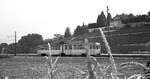 TN__Neuchâtel/Neuenburg__Tw [1962 ex Genua] auf Linie 5  nach Boudry vor den Weinterrassen.__30-08-1976