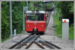 Interressant bei der Dolder Zahnradbahn sind die beidenWeichen bei der Mittelstation, die als Ganzes umgeschwenkt werden.