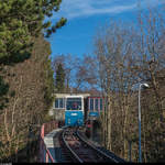 Wagen 2 der Seilbahn Rigiblick befindet sich am 6. Dezember 2016 auf Talfahrt zwischen der Bergstation Rigiblick und der Haltestelle Germaniastrasse.