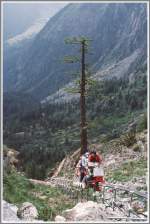 Etwas abenteurlich sah das Gefhrt schon aus und vor allem machte der Benzinmotor einen Hllenlrm.