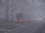 Bern Mobil - Bern im Nebel mit dem Tram Be 6/8 664 unterwegs auf der Linie 9 am 22.11.2014