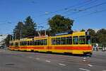 Doppeltraktion, mit dem Be 4/8 251 und dem Be 4/6 241, auf der Linie 17, fährt am 12.09.2022 zur Endstation am Wiesenplatz.