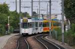 Be 4/8 245 mit der IWB Werbung zusammen mit dem Be 4/6 264 auf der Linie 10 fahren Richtung Münchenstein Dorf.