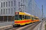 Be 4/8 204 zusammen mit dem Be 4/6 233 auf der Linie 11 kurz vor der Haltestelle Peter Merian. Die Aufnahme stammt vom 10.06.2014.