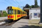 Basel BLT Tram 10 (SWP/Siemens Be 4/6 214) Ettingen am 6.