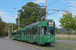 Doppeltraktion, mit den Be 4/4 494 und 495 zusammen mit dem B4S 1493, auf der Linie 2, f�hrt am 05.09.2026 zur Haltestelle Eglisee. Aufnahme Basel.