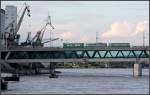 Zwei Giraffen blicken da auf das Straenbahn-Zgle: Ein Straenbahn-Zug auf der Basler Dreirosenbrcke.