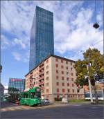 Guggumere und die Stadt. Basel, September 2015.