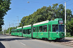 Am 07.08.2016 fand eine Extrafahrt des Tramclub Basel statt.