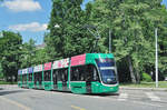 Be 6/8 Flexity 5001, auf der Linie 3, fährt zur Haltestelle St.