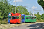 Be 4/4 490 FC Basel zusammen mit dem B4S 1487, auf der Linie 15, fährt Richtung Haltestelle Studio Basel.