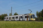 Be 6/8 Flexity 5010 mit der Werbung für die Basler Museen, auf der Linie 14, fährt zur Haltestelle Lachmatt.