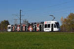 Be 6/8 Flexity 5033 mit der BKBL Werbung, auf der Linie 14, fährt zur Haltestelle Lachmatt.