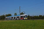 Be 6/8 Flexity 5028 mit der AMAG Werbung, auf der Linie 14, fährt zur Haltestelle Lachmatt.