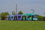 Be 6/8 Flexity 5009 mit der Yallo Werbung, auf der Linie 14, fährt zur Haltestelle Lachmatt.