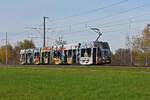 Be 6/8 Flexity 5015 mit der Hieber Werbung, auf der Linie 14, fährt zur Haltestelle Lachmatt.