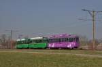 Dreiwagenzug mit dem Be 4/4 484, dem B4S 1487 und dem B4 1446 auf der Linie 14 fahren zur Haltestelle Rothausstrasse.