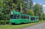 Be 4/6 S 667 auf der Linie 16 fährt zur Haltestelle Hauensteinstrasse.