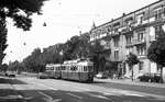 SVB Tram Bern__Zug der Linie 3 nach Saali mit Tw 110 Be 4/4 von 1947/48 und Bw 332 44 von 1960/61.__27-08-1976