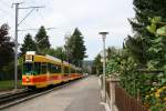 Be 4/8 Nr. 217 der BLT am 22. August 2009 bei der Fahrt vom Bahnhof Dornach in Richtung Alesheim-Dorf