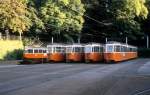 Genve / Genf Tram 12 (Be 4/4 709) / aufgestellte Beiwagen Carouge (Schleife) am 25. Juli 1986.