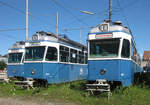 Ausgedient: Diverse Miragen Be 4/6 auf der offenen Abstellanlage beim Depot Hard am 29.05.2009.