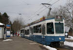 Be 4/8 2106 an der Endhaltestelle Zoo am 17.02.2013.