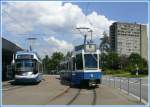 Beim Triemlispital begenen sich ein Fahrschule-Tram 2000 und ein Cobra.