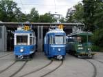 Fahrzeuge der Museumslinie 21 vor dem Depot Burgwies (Tram Museum Zrich).