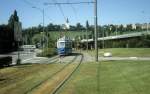 Zrich VBZ Tram 4 (Be 4/4) Meierwiesenstrasse / Tffenwies im Juli 1983.