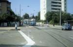 Zrich VBZ Tram 11 (Be 4/4 1430) Hofwiesenstrasse / Regensbergstrasse im Juli 1983.